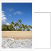 Hulopo'e Beach by Anonymous