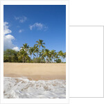 Hulopo'e Beach by Anonymous