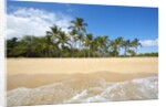 Hulupo'e Beach, Manele Bay, Lanai, Hawaii by Anonymous