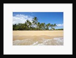 Hulupo'e Beach, Manele Bay, Lanai, Hawaii by Anonymous