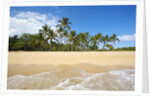 Hulupo'e Beach, Manele Bay, Lanai, Hawaii by Anonymous