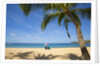 Vacationing couple's beach chair and umbrella on Hulupo'e Beach; Manele Bay; Lanai; Hawaii by Anonymous