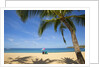 Vacationing couple's beach chair and umbrella on Hulupo'e Beach; Manele Bay; Lanai; Hawaii by Anonymous