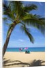 Vacationing couple snorkeling at Hulupo'e Beach; Manele Bay; Lanai; Hawaii by Anonymous