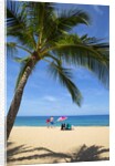 Vacationing couple snorkeling at Hulupo'e Beach; Manele Bay; Lanai; Hawaii by Anonymous