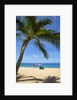 Vacationing couple snorkeling at Hulupo'e Beach; Manele Bay; Lanai; Hawaii by Anonymous