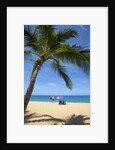 Vacationing couple snorkeling at Hulupo'e Beach; Manele Bay; Lanai; Hawaii by Anonymous