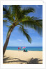 Vacationing couple snorkeling at Hulupo'e Beach; Manele Bay; Lanai; Hawaii by Anonymous