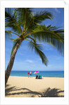 Vacationing couple snorkeling at Hulupo'e Beach; Manele Bay; Lanai; Hawaii by Anonymous