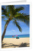 Vacationing couple snorkeling at Hulupo'e Beach; Manele Bay; Lanai; Hawaii by Anonymous