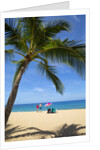 Vacationing couple snorkeling at Hulupo'e Beach; Manele Bay; Lanai; Hawaii by Anonymous