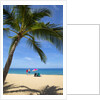 Vacationing couple snorkeling at Hulupo'e Beach; Manele Bay; Lanai; Hawaii by Anonymous