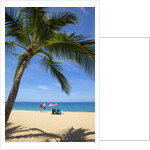 Vacationing couple snorkeling at Hulupo'e Beach; Manele Bay; Lanai; Hawaii by Anonymous