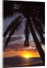 Sunset at Keawekapu Beach, Wailea, Maui, Hawaii by Anonymous