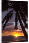 Sunset at Keawekapu Beach, Wailea, Maui, Hawaii by Anonymous