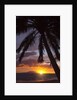 Sunset at Keawekapu Beach, Wailea, Maui, Hawaii by Anonymous