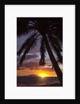 Sunset at Keawekapu Beach, Wailea, Maui, Hawaii by Anonymous