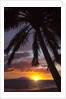Sunset at Keawekapu Beach, Wailea, Maui, Hawaii by Anonymous