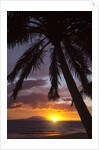 Sunset at Keawekapu Beach, Wailea, Maui, Hawaii by Anonymous