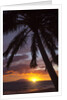 Sunset at Keawekapu Beach, Wailea, Maui, Hawaii by Anonymous