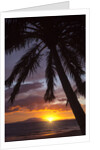 Sunset at Keawekapu Beach, Wailea, Maui, Hawaii by Anonymous