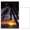 Sunset at Keawekapu Beach, Wailea, Maui, Hawaii by Anonymous