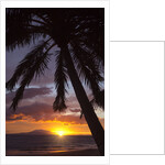 Sunset at Keawekapu Beach, Wailea, Maui, Hawaii by Anonymous