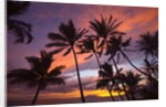 Sunset at Keawekapu Beach, Wailea, Maui, Hawaii by Anonymous
