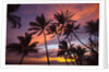 Sunset at Keawekapu Beach, Wailea, Maui, Hawaii by Anonymous