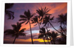 Sunset at Keawekapu Beach, Wailea, Maui, Hawaii by Anonymous