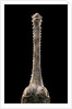 Gavialis gangeticus (gharial) - snout by Anonymous