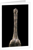 Gavialis gangeticus (gharial) - snout by Anonymous