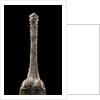 Gavialis gangeticus (gharial) - snout by Anonymous