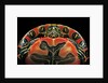 Chrysemys picta bellii (painted turtle) by Anonymous