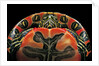 Chrysemys picta bellii (painted turtle) by Anonymous
