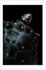 Clemmys guttata (spotted turtle) by Anonymous