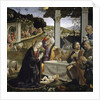 Adoration of the Shepherds by Domenico Ghirlandaio