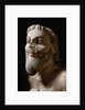 One of the three heads of the monster fighting against Herakles by Anonymous
