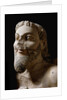 One of the three heads of the monster fighting against Herakles by Anonymous