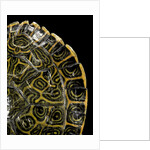 Pseudemys gorzugi (Western river cooter) by Anonymous