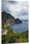The trail from San Rocco to San Fruttuoso by Anonymous