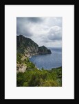 The trail from San Rocco to San Fruttuoso by Anonymous