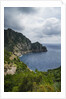 The trail from San Rocco to San Fruttuoso by Anonymous
