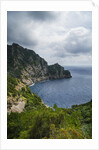 The trail from San Rocco to San Fruttuoso by Anonymous