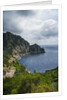 The trail from San Rocco to San Fruttuoso by Anonymous