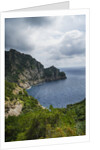 The trail from San Rocco to San Fruttuoso by Anonymous