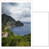 The trail from San Rocco to San Fruttuoso by Anonymous