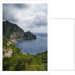 The trail from San Rocco to San Fruttuoso by Anonymous