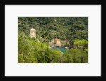View of San Fruttuoso by Anonymous