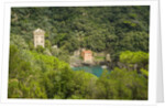 View of San Fruttuoso by Anonymous